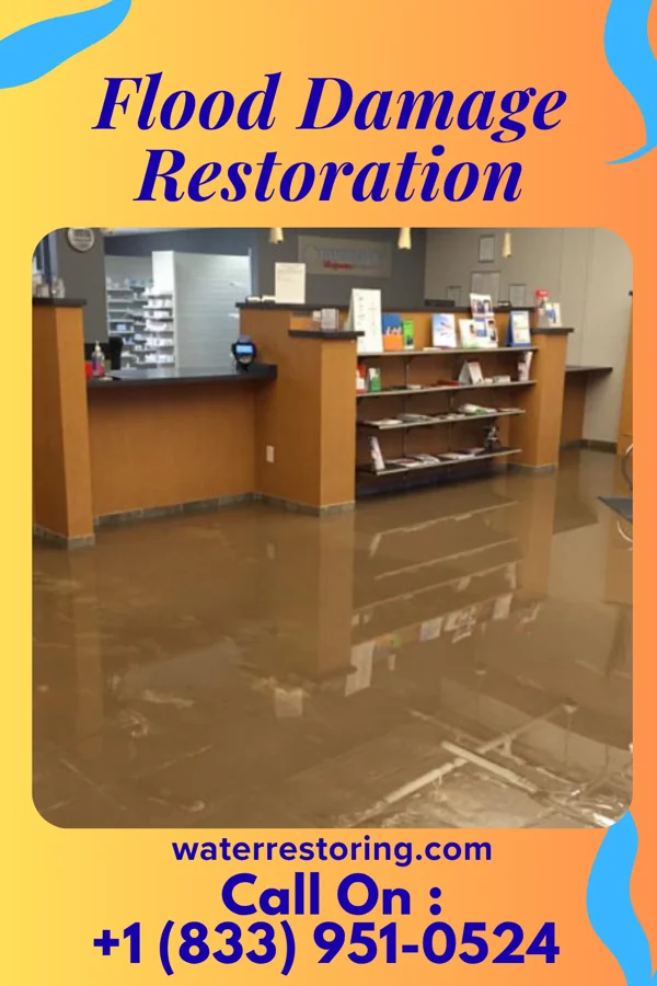 Flood Damage Restoration in Seth Ward, TX