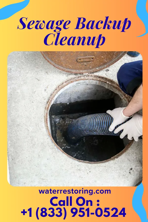 Sewage Backup Cleanup in Seth Ward, TX
